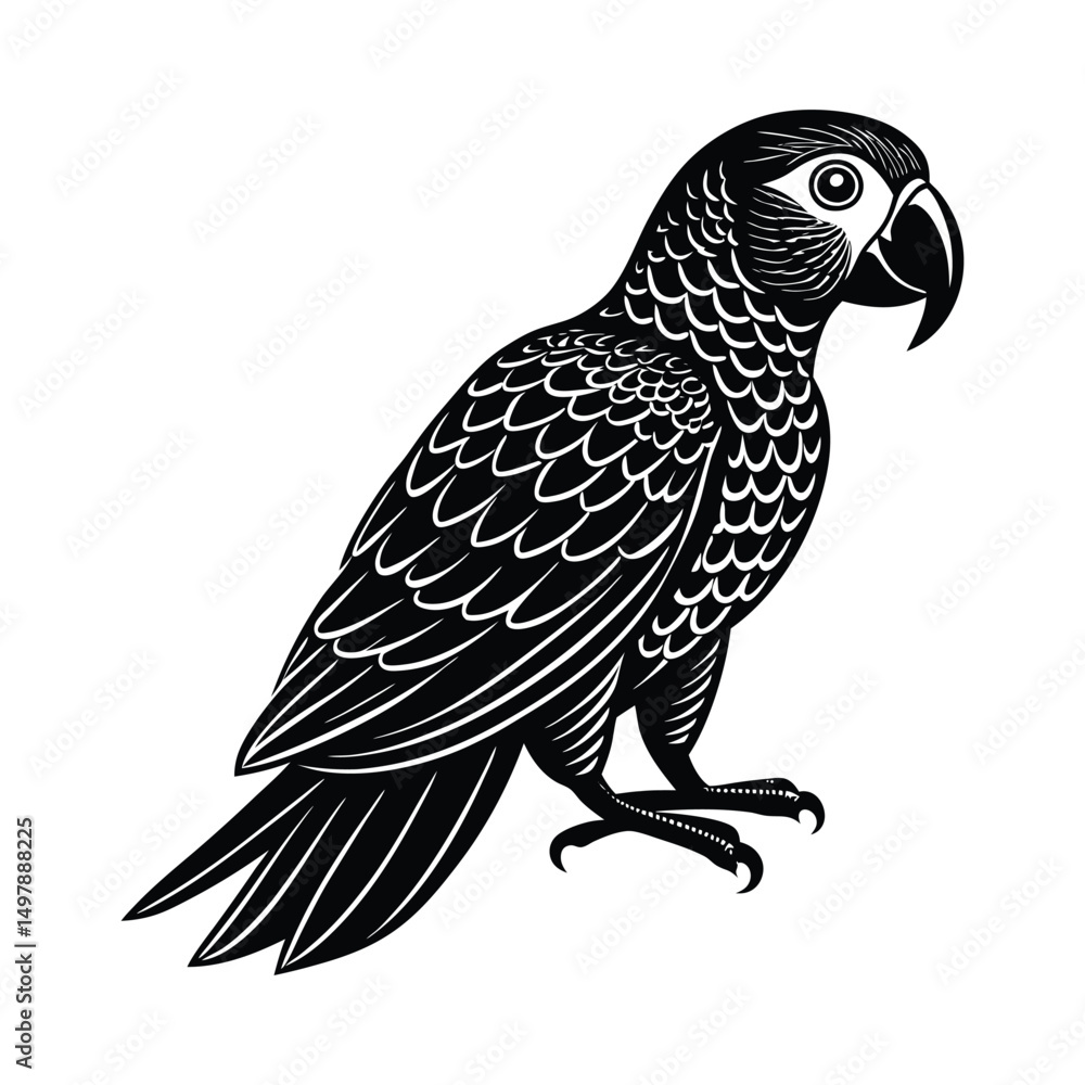 Obraz premium Hyacinth Macaw vector illustration