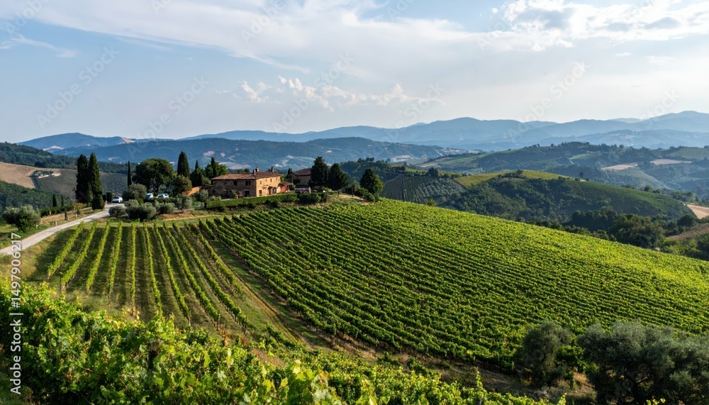 Naklejka premium Charming Tuscan Farmhouse Surrounded by Scenic Vineyard Landscape