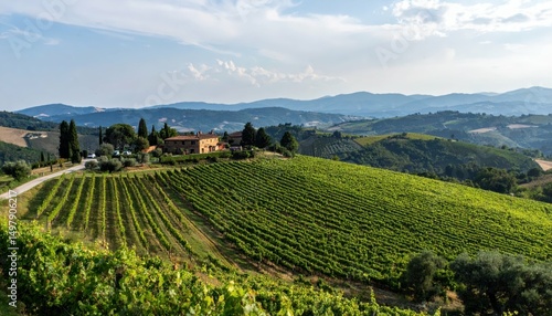 Wallpaper Mural Charming Tuscan Farmhouse Surrounded by Scenic Vineyard Landscape Torontodigital.ca