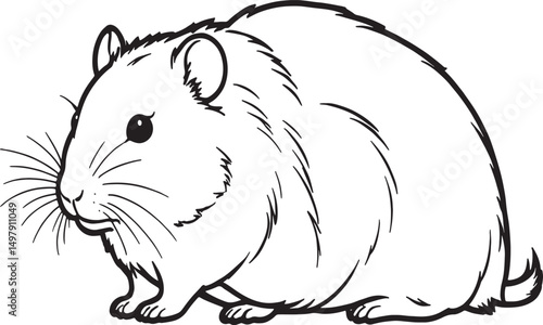 vector illustration of a squirrel