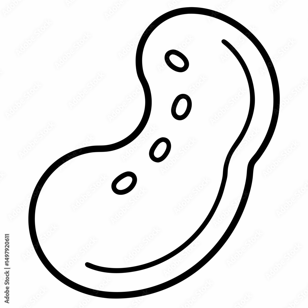 Obraz premium Gigante Bean outline icon on white background