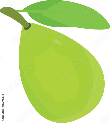 Guava – A Delicious Gift of NatureGuava – A Treasure Trove of Vitamin C