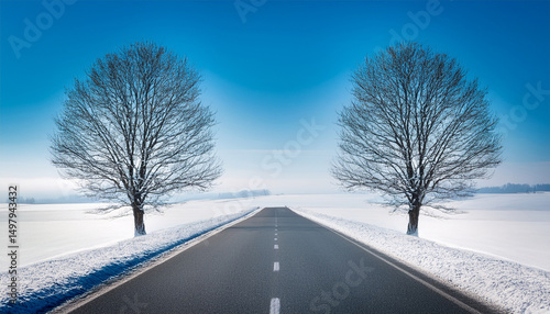 minimalist road stretches between two bare trees in snowy landscape evoking sense of tranquility and solitude