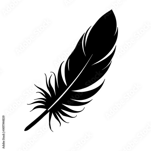 Minimalist black silhouette of a semiplume feather on white background