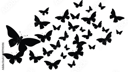 Butterfly silhouettes swarm background