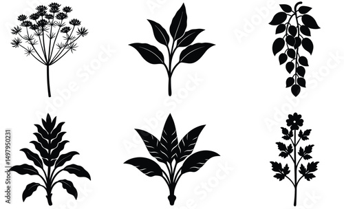 Medicinal Plant Silhouette Set – Vector Collection Featuring Ginger, Turmeric, Mustard, Mimosa Pudica, Clerodendrum, and Indian Laburnum for Herbal and Ayurvedic Illustration Use