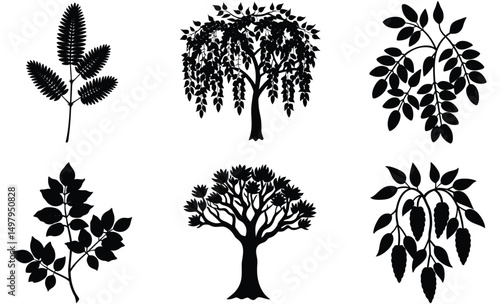 Medicinal Plant Silhouette Set – Vector Collection Featuring Bauhinia Tree, Indian Aloe, Patharchatta, Shatavari, Ashwagandha, and Pueraria Tuberosa for Herbal, Ayurvedic, and Botanical Use