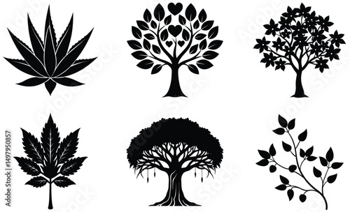 Medicinal Plant Silhouette Set – Vector Collection Featuring Bauhinia Tree, Indian Aloe, Patharchatta, Shatavari, Ashwagandha, and Pueraria Tuberosa for Herbal, Ayurvedic, and Botanical Use