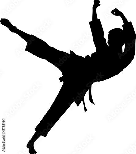 Martial Artist Kick Silhouette with Geometric Background"