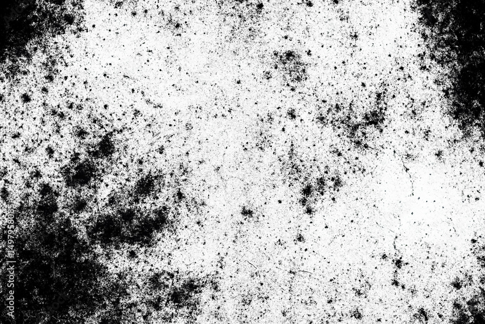 Black and White Textured Background: A detailed shot showcases an abstract design composed of splattered textures and random organic shapes, forming a monochromatic background for use in any design Black and White Textured Background: A detailed shot showcases an abstract design composed of splattered textures and random organic shapes, forming a monochromatic background for use in any design