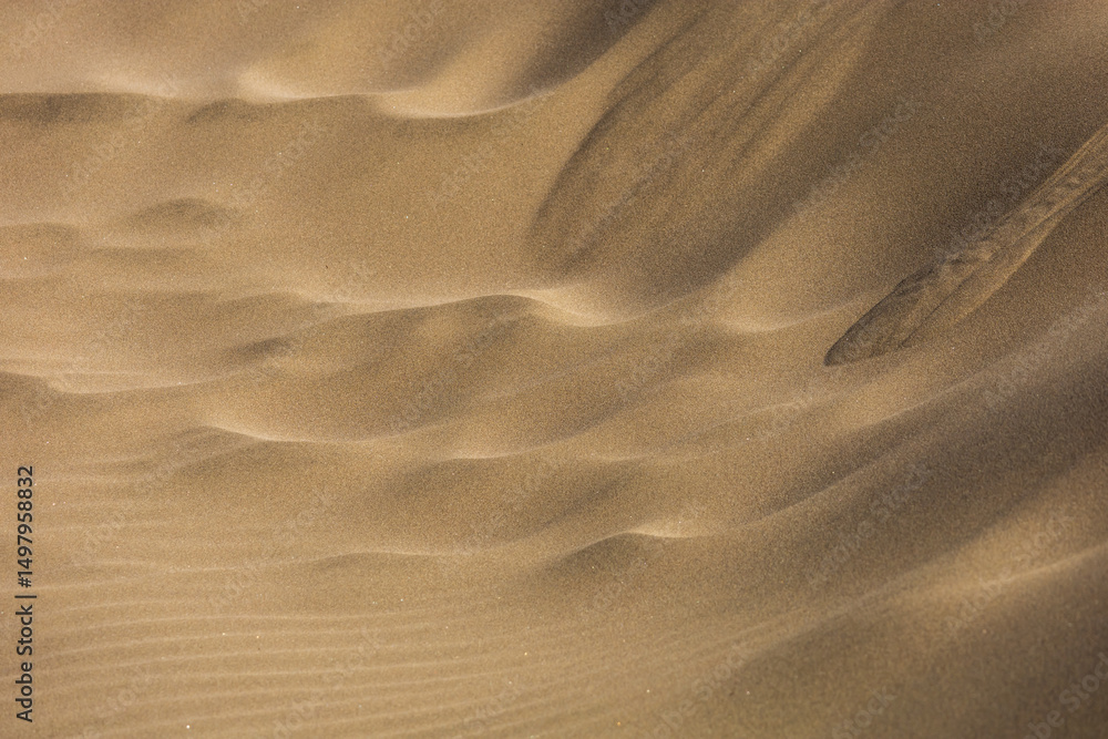 Obraz premium Desert landscape and sand dunes in Maspalomas. View of dunes and sea. Gran Canaria Island Spain