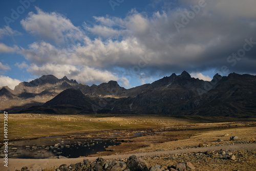 Grazing animals in mountain landscape