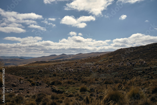 mountain landscape with blue sky, clouds and animals