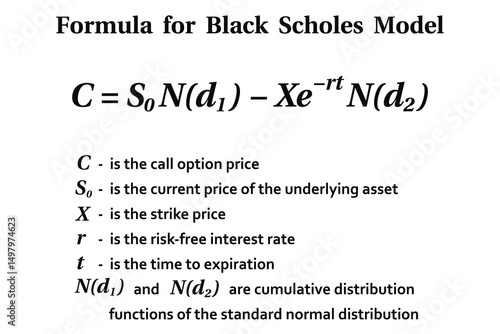 Black-Scholes equation on the white background. Education. Science. School. Vector illustration.