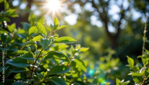 sunlight filters through lush green leaves, casting an ethereal glow on a serene natural backdrop with bokeh, blurring the edges to enhance the dreamy ambiance.
