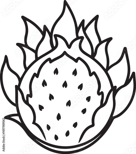 dragon fruit line art, black outline, vector and illustration, coloring book page line art drawing
