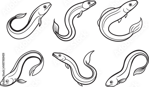 set of eel fish line art, black outline, vector and illustration, coloring book page line art drawing