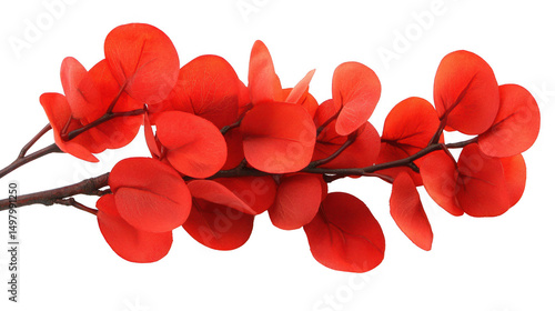 Vibrant red eucalyptus branch on PNG transparent background for design projects