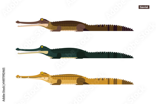 set illustrations gharials isolated on white background. Dangerous exotic predatory reptiles.