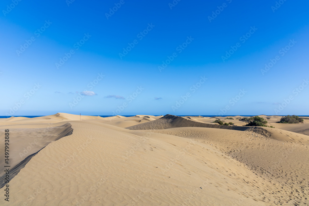 Desert landscape and sand dunes in Maspalomas. View of dunes and sea. Gran Canaria Island Spain Desert landscape and sand dunes in Maspalomas. View of dunes and sea. Gran Canaria Island Spain