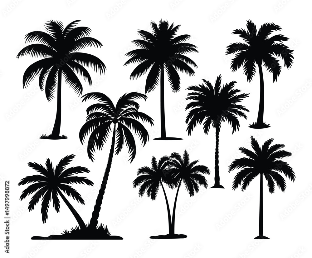 Isolated Palm Tree Vector Silhouette on Clean White Background Isolated Palm Tree Vector Silhouette on Clean White Background