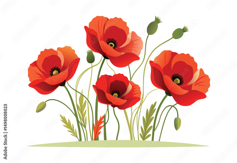 Naklejka premium vintage poppy flowers vector illustration on white background
