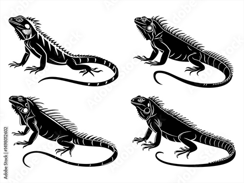 iguana sihouette black vector bundle
