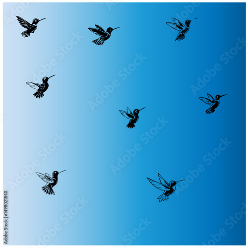 Hummingbird editable  vector set  1