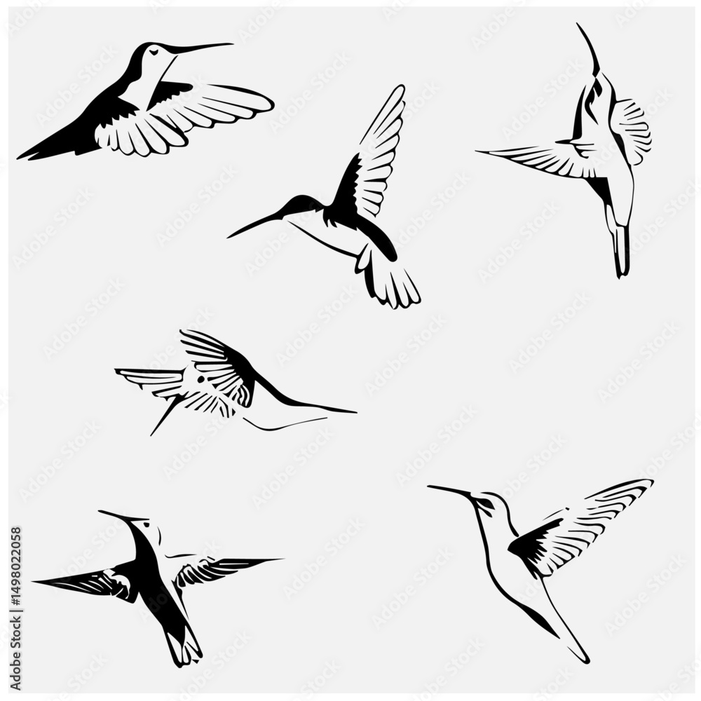 Obraz premium Hummingbird editable vector set 2