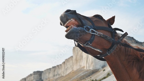 Brown horse neighing with White Rock in Crimea near Belogorsk