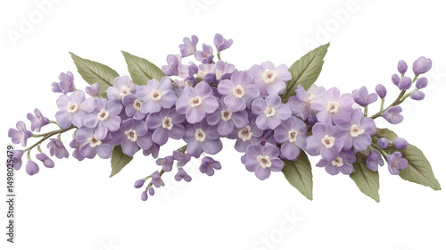 Delicate Purple Flower Arrangement on PNG Transparent Background for Design
