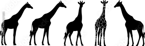 Giraffe Bundle line art silhouette illustration