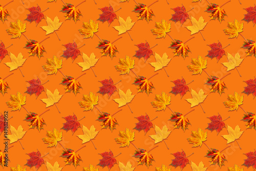 Pattern of Colorful Autumn Leaves on orange Background