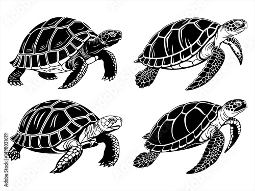 tortoise sihouette black vector bundle