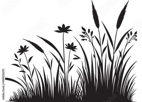 Elegant Silhouette Illustration of Wild Grass and Flowers for Design