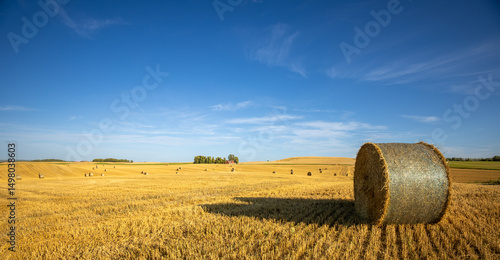 hay bale in the field Skåne Sweden 