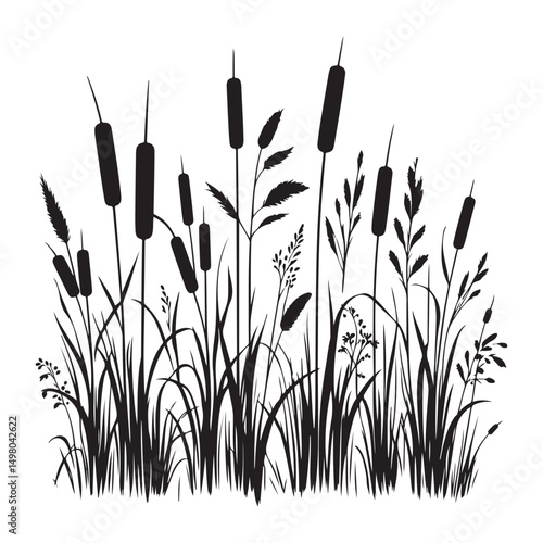 Silhouette of cattails and grasses vector illustration ideal for backgrounds