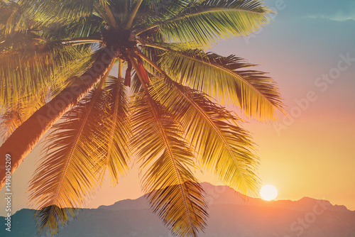 Fototapeta Naklejka Na Ścianę i Meble -  Beautiful tropical sunset with palm trees silhouetted against an orange and pink sky, creating a relaxing beach vibe perfect for vacation, summer, travel, and nature lovers
