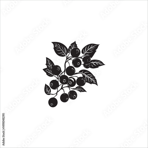 blueberry fruit image, logo, black and white vector graphics

