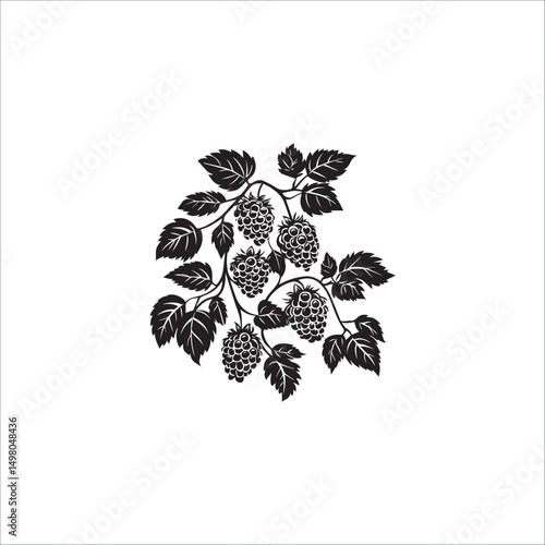 blackberry branch image, logo, black and white vector graphics
