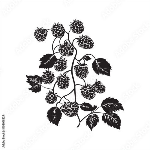 blackberry branch image, logo, black and white vector graphics
