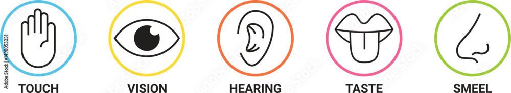 hand, eye, ear, nose, mouth
Human sense icons. Five human senses icons. Vision smell hearing touch taste senses filling, Vector illustration eps 10
hand, eye, ear, nose, mouth
Human sense icons. Five human senses icons. Vision smell hearing touch taste senses filling, Vector illustration eps 10