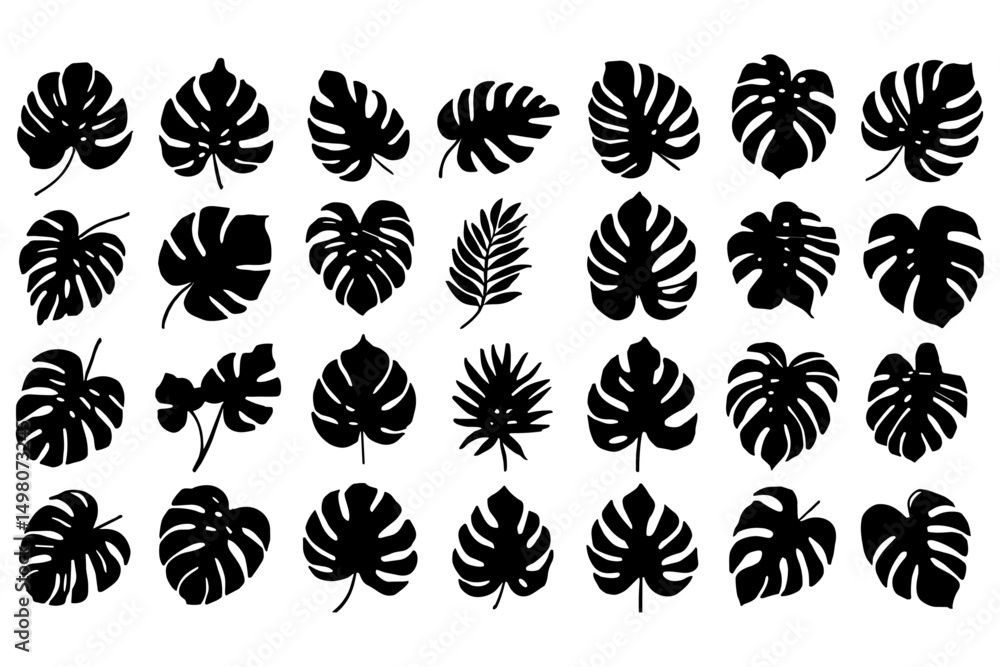 Black grass and plant silhouettes with nature and floral design elements Black grass and plant silhouettes with nature and floral design elements
