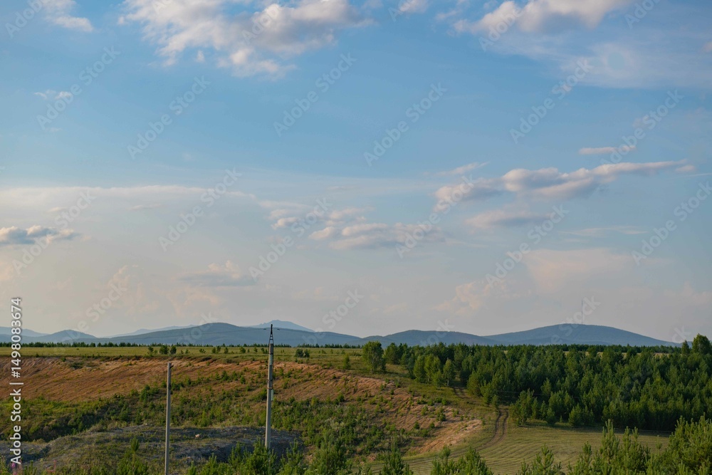 Naklejka premium Picturesque nature of Russia with fields of sunflowers