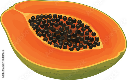 Colorful Papaya Fruit Vector Illustration with Whole and Sliced Orange Flesh and Black Seeds on Transparent Background for Tropical Food and Healthy Lifestyle Concepts