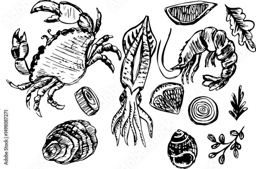 Seafood illustrations including crab, shrimp, squid, and shellfish  