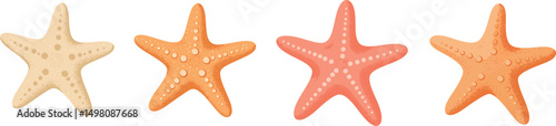 Starfish Vector Illustration Featuring Detailed Orange Texture on Transparent Background for Ocean, Beach, and Marine Life Designs