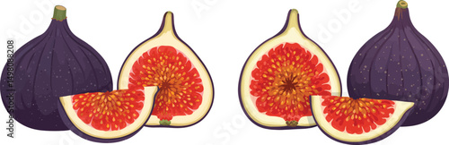 Juicy Fig Fruit Vector Illustration Featuring a Whole Purple Fig and a Cut Section Showing Red Flesh on Transparent Background for Food and Nutrition Designs