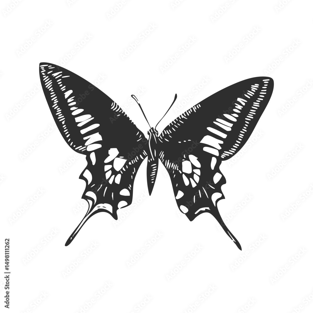 Fototapeta premium Butterfly Silhouette Illustration. Symbol Of Transformation And Beauty Isolated Vector Illustration