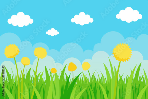 grass and flowers